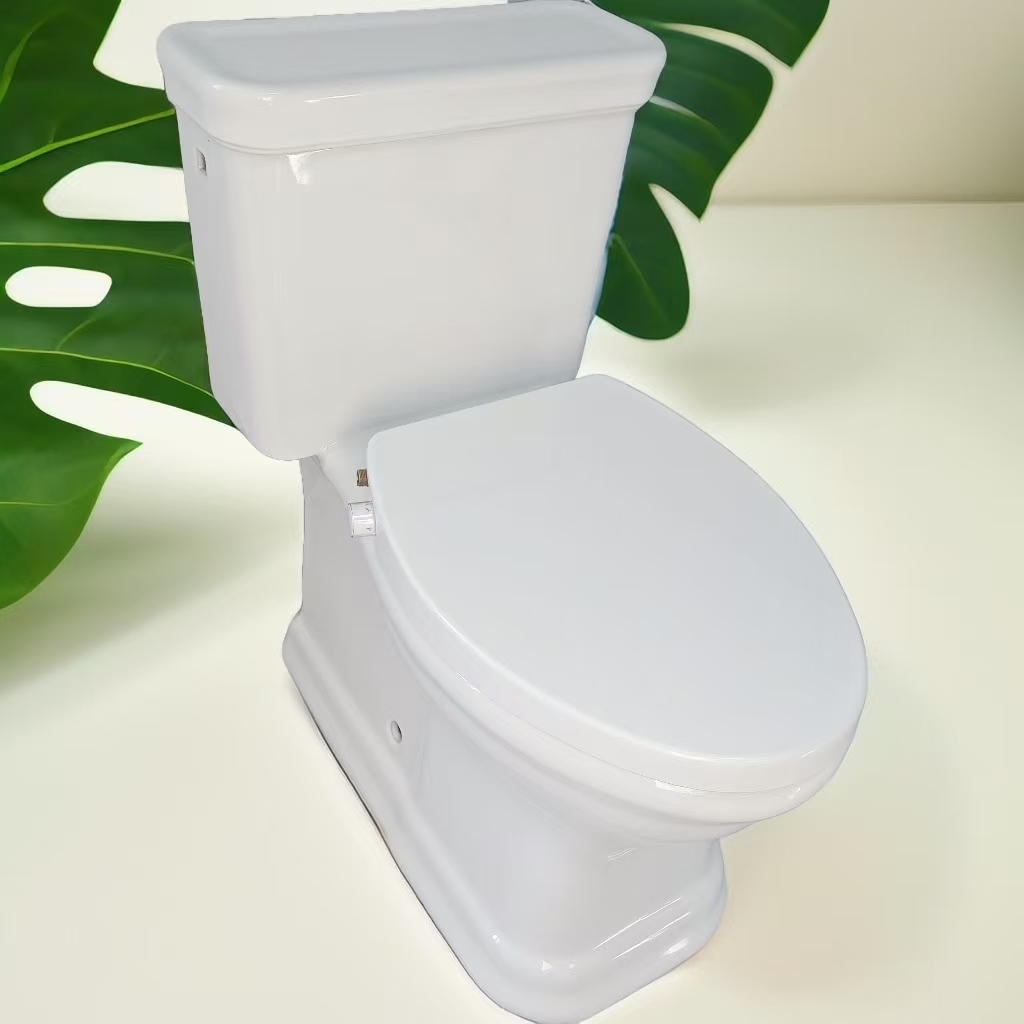 Non Electric PP Toilet Seat Cover With Bidet